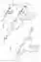 Fig. 07 - ARTHROSCOPIC SURGICAL DEVICE