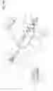 Fig. 71 - ARTHROSCOPIC SURGICAL DEVICE