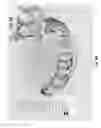 Fig. 09 - Diagnostic intraoral tracking