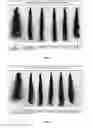 Fig. 02 - Hair cosmetic compositions containing thiol-based compounds and methods for cleansing and treating hair
