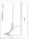 Fig. 04 - Injectable composition with aromatase inhibitor