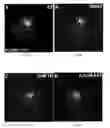 Fig. 09 - Methods of treating disorders with glycosylation defective proteins