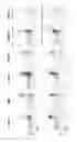 Fig. 06 - Methods of generating T-cells from stem cells and immunotherapeutic methods using the T-cells