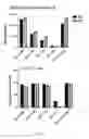 Fig. 110 - Methods of generating T-cells from stem cells and immunotherapeutic methods using the T-cells