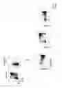 Fig. 115 - Methods of generating T-cells from stem cells and immunotherapeutic methods using the T-cells