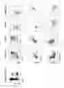 Fig. 120 - Methods of generating T-cells from stem cells and immunotherapeutic methods using the T-cells