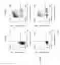 Fig. 129 - Methods of generating T-cells from stem cells and immunotherapeutic methods using the T-cells