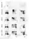 Fig. 13 - Methods of generating T-cells from stem cells and immunotherapeutic methods using the T-cells