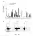 Fig. 15 - Methods of generating T-cells from stem cells and immunotherapeutic methods using the T-cells