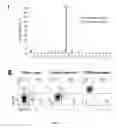 Fig. 20 - Methods of generating T-cells from stem cells and immunotherapeutic methods using the T-cells
