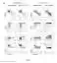 Fig. 22 - Methods of generating T-cells from stem cells and immunotherapeutic methods using the T-cells
