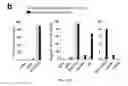 Fig. 28 - Methods of generating T-cells from stem cells and immunotherapeutic methods using the T-cells