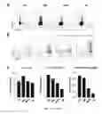 Fig. 32 - Methods of generating T-cells from stem cells and immunotherapeutic methods using the T-cells