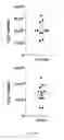 Fig. 35 - Methods of generating T-cells from stem cells and immunotherapeutic methods using the T-cells