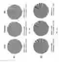 Fig. 41 - Methods of generating T-cells from stem cells and immunotherapeutic methods using the T-cells