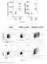 Fig. 44 - Methods of generating T-cells from stem cells and immunotherapeutic methods using the T-cells