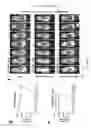 Fig. 49 - Methods of generating T-cells from stem cells and immunotherapeutic methods using the T-cells