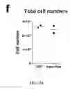 Fig. 55 - Methods of generating T-cells from stem cells and immunotherapeutic methods using the T-cells