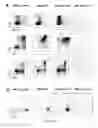 Fig. 62 - Methods of generating T-cells from stem cells and immunotherapeutic methods using the T-cells