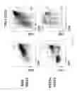 Fig. 75 - Methods of generating T-cells from stem cells and immunotherapeutic methods using the T-cells