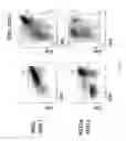 Fig. 79 - Methods of generating T-cells from stem cells and immunotherapeutic methods using the T-cells