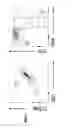 Fig. 94 - Methods of generating T-cells from stem cells and immunotherapeutic methods using the T-cells