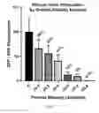 Fig. 05 - Vector for gene silencing and replacement and methods of use thereof