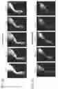 Fig. 22 - Method of detecting diseased or damaged tissue with a pH-triggered polypeptide fluorophore composition