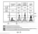 Fig. 20 - Methods, systems and devices for non-invasive ventilation including a non-sealing ventilation interface with an entrainment port and/or pressure feature