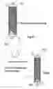 Fig. 07 - Method for preparing tissue, particularly adipose tissue, for transplantation from lobular fat extracted by liposuction