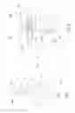 Fig. 08 - Helical fixation member assembly having bi-directional controlled drug release