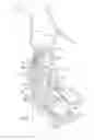 Fig. 02 - Exercise machine