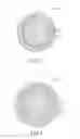 Fig. 03 - Methods for applying polyurethane coatings to golf balls having a thermoplastic polyurethane cover and resulting golf balls