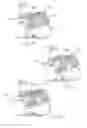 Fig. 10 - Surfskate skateboard trucks