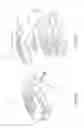 Fig. 06 - Virtual reality simulation of a live-action sequence