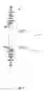 Fig. 10 - Method and apparatus for extraction of oil from plants