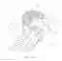 Fig. 02 - Filter element