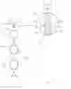 Fig. 01 - Selectively-permeable membrane