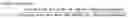 Fig. 02 - Selectively-permeable membrane