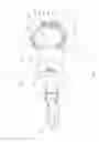 Fig. 33 - Devices and methods for molecular diagnostic testing