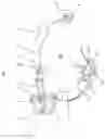 Fig. 02 - Piston groove machining tool