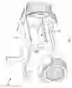 Fig. 02 - Device for securing an area in a vehicle