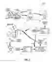 Fig. 02 - Method for customizing motion characteristics of an autonomous vehicle for a user