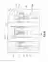 Fig. 09 - Landing gear strut assembly and method therefor
