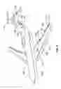 Fig. 03 - Optical systems and methods for aircraft flight control rigging