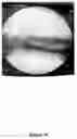 Fig. 35 - Glasses, cements and uses thereof
