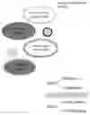 Fig. 01 - AGRICULTURAL SYSTEMS, COMPOSITIONS AND METHODS FOR INCREASING CROP YIELD