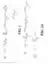Fig. 02 - Methods for Production of Aromatic Dicarboxylic Acids and Derivatives Thereof