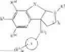 Fig. 131 - Tricyclic sulfones as RORmodulators