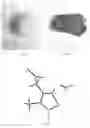 Fig. 02 - Thiazole inner salt compounds, and preparation methods and uses thereof